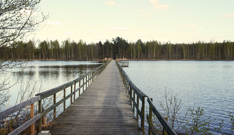 Hjällsjön Put & Take