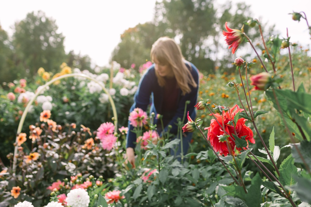 Binden Sie Ihren eigenen Blumenstrauß mit saisonalen Blumen