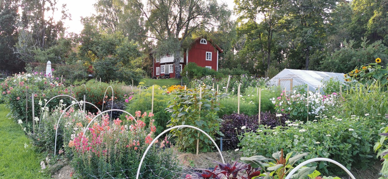 Binden Sie Ihren eigenen Strauß aus saisonalen Blumen