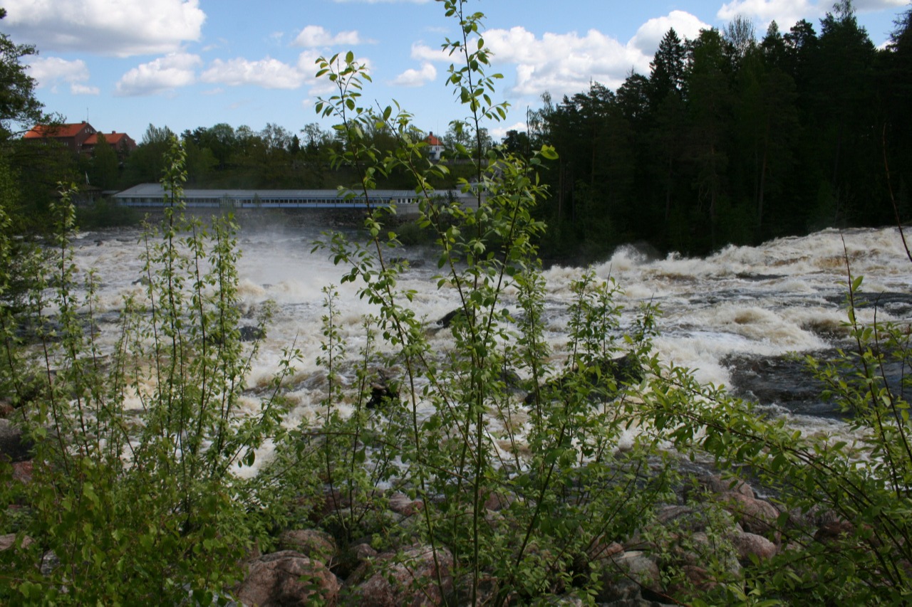 Laxön